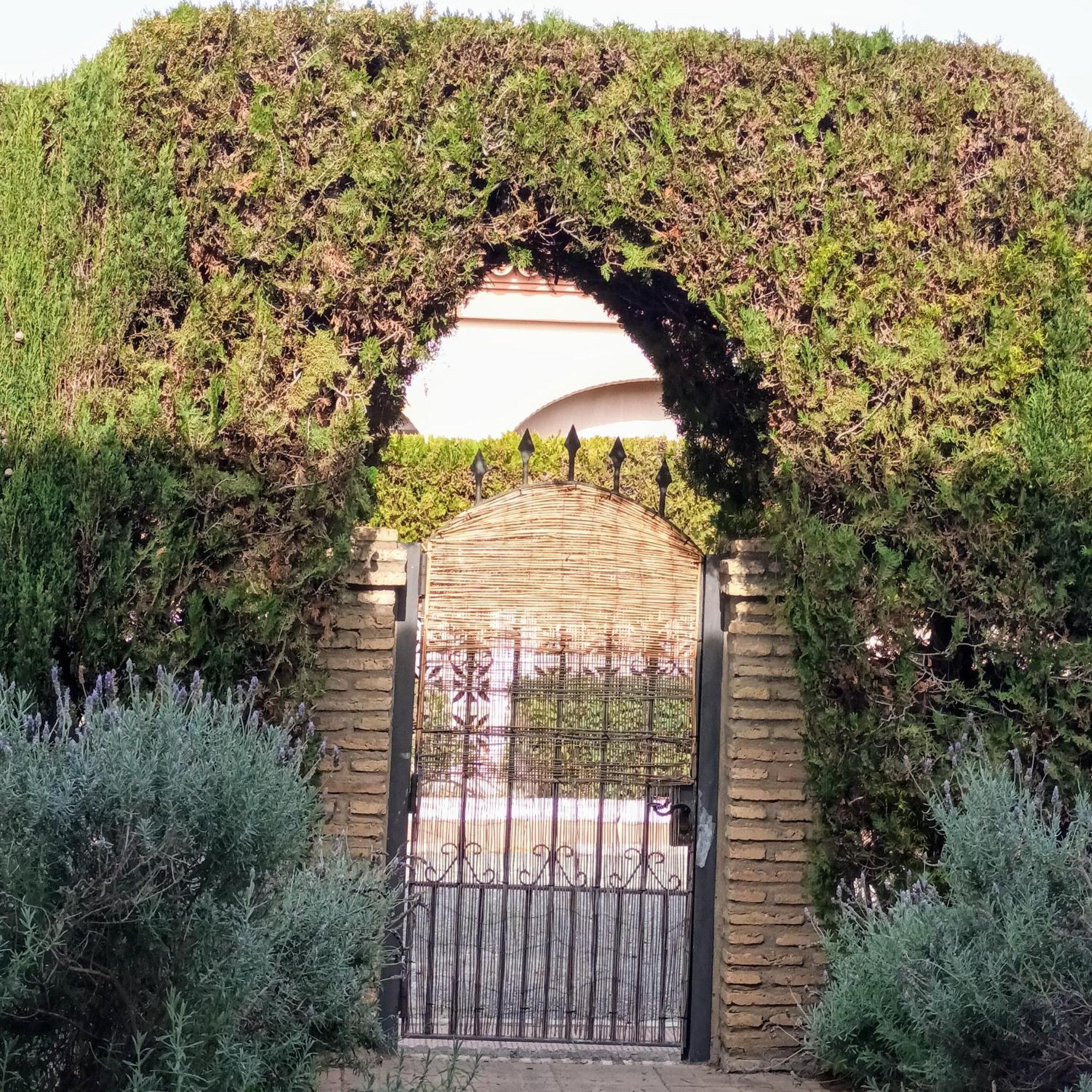 Hispalis Villa En Matalascañas Kültér fotó